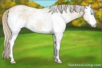 Horse Color:White Spotted Smoky Creme Dun 