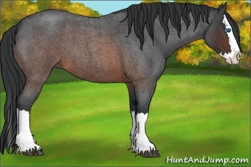 Horse Color:Brown Roan Splash 