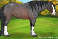 Horse Color:Brown Roan Splash