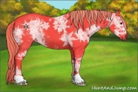 Horse Color:Watercolor Liver Chestnut Ice 