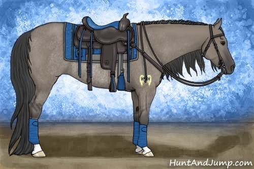 Horse Color:Smoky Grullo Rabicano 