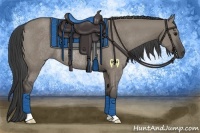 Horse Color:Smoky Grullo Rabicano