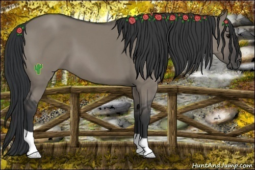 Horse Color:Grullo