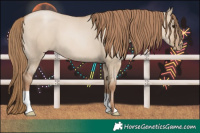 Horse Color:Grullo Pearl 