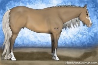 Horse Color:Silver Buckskin Sabino 