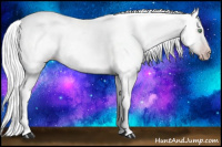 Horse Color:Gray Silver Amber Cream Champagne Roan Dun Splash Tobiano Frame Appaloosa Rabicano