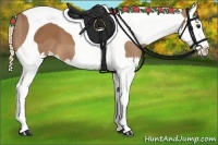 Horse Color:Chestnut Splash Tobiano