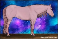 Horse Color:Watercolor Red Dun 