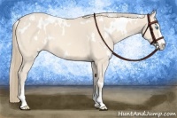 Horse Color:White Spotted Perlino Sabino