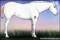 Horse Color:Chestnut Splash Snowcap