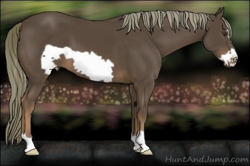 Horse Color:Liver Chestnut Frame 