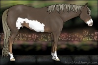 Horse Color:Liver Chestnut Frame 