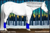 Horse Color:Buckskin Sabino