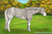 Horse Color:Silver Smoky Black Ice Sabino