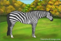 Horse Color:Smoky Black