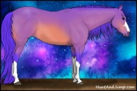 Horse Color:Watercolor Buckskin