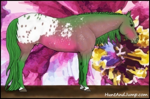 Horse Color:Watercolor Bay Roan Appaloosa 
