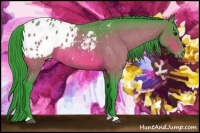 Horse Color:Watercolor Brown Roan Blanket