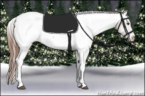 Horse Color:Red Roan Splash Frame Snowcap