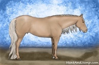 Horse Color:Silver Black Pearl Sabino Rabicano
