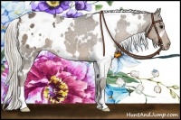 Horse Color:White Spotted Silver Smoky Black Blanket 