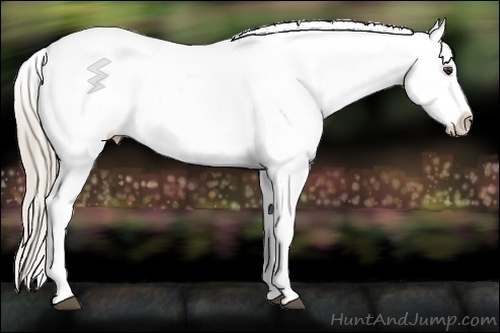 Horse Color:Chocolate Palomino Ice Dun Sabino Varnish 