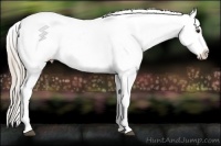 Horse Color:Chocolate Palomino Ice Dun Sabino Varnish 