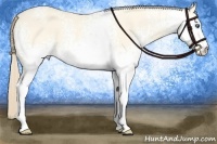 Horse Color:White Spotted Perlino Dun 