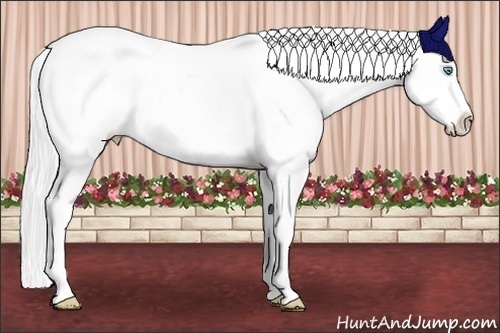 Horse Color:White Spotted Silver Smoky Creme Appaloosa 