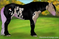 Horse Color:Watercolor Liver Chestnut Tobiano Appaloosa 