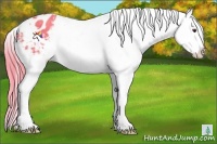 Horse Color:Watercolor Liver Chestnut Sabino Splash Appaloosa 