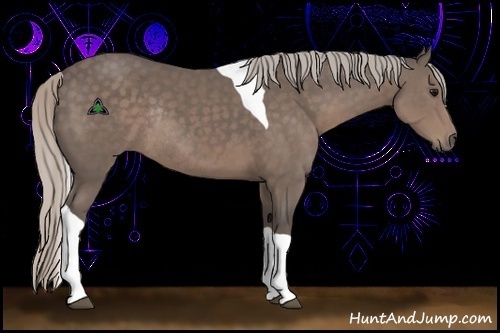 Horse Color:Silver Black Tobiano Rabicano