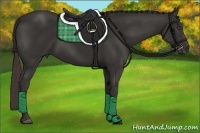 Horse Color:Liver Chestnut Frame 