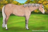 Horse Color:Silver Bay Roan Splash 