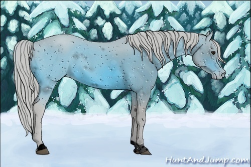 Horse Color:ERROR: UNKNOWN ANOMALY