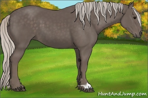 Horse Color:Silver Black 
