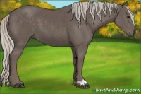 Horse Color:Silver Black 