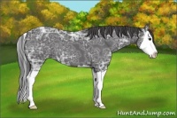 Horse Color:Smoky Black Ice Splash