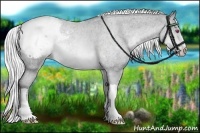 Horse Color:Silver Brown Chinchilla Roan Varnish