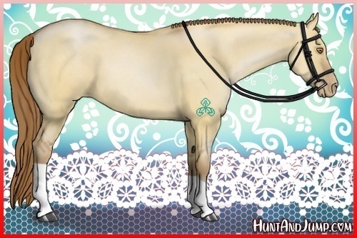 Horse Color:Brown Pearl Dun 