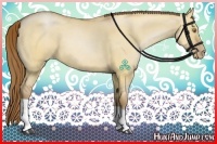 Horse Color:Brown Pearl Dun