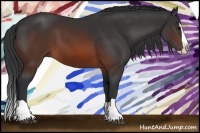 Horse Color:Brown Splash