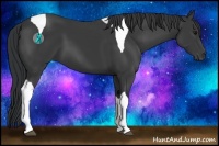 Horse Color:Black Sabino Tobiano 
