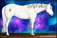 Horse Color:White Spotted Silver Perlino Splash Rabicano 