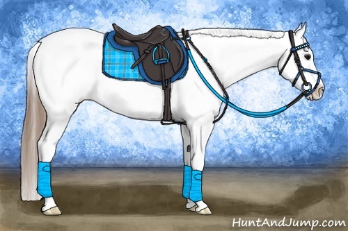 Horse Color:Buckskin Splash Near Fewspot