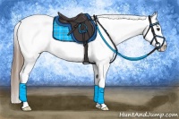 Horse Color:Buckskin Splash Near Fewspot 