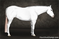 Horse Color:Bay Roan Blanket