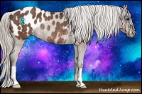Horse Color:Silver Brown Blanket Rabicano 