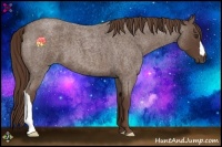 Horse Color:Liver Red Roan 