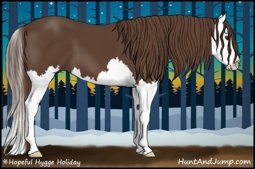 Horse Color:Liver Chestnut Splash 